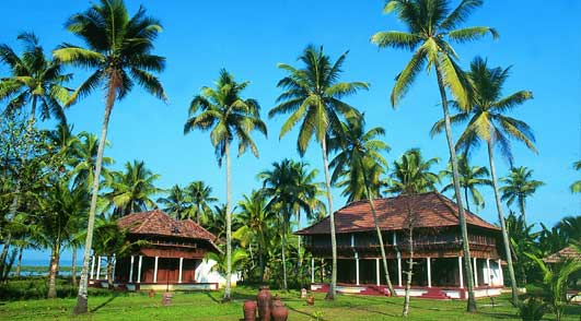 ����� Coconut Lagoon Casino, ����