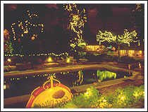 ����� Coconut Lagoon Casino, ����