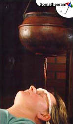 ����� Somatheeram Ayurvedic Resort, ����