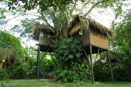 ����� Parrot Nest Lodge, ����