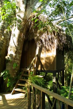 ����� Parrot Nest Lodge, ����