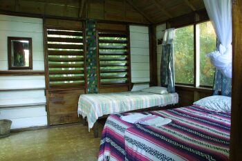 ����� Parrot Nest Lodge, ����