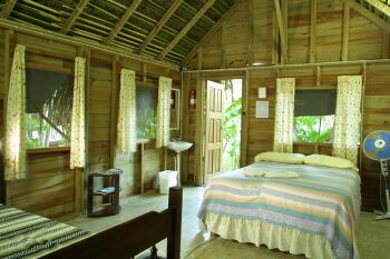 ����� Parrot Nest Lodge, ����