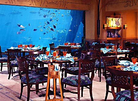 ����� Atlantis Paradise Island Resort (Coral Tower), ����