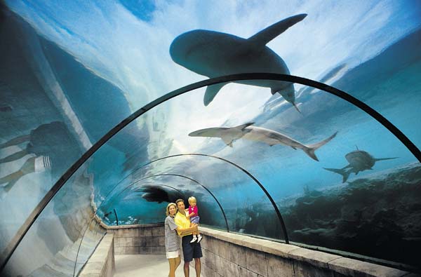 ����� Atlantis Paradise Island Resort (Royal Tower), ����