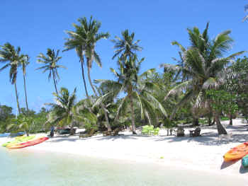 ����� Tiamo Resort, ����