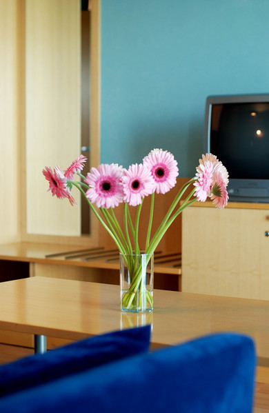 ����� Meri Spa Hotel, ����