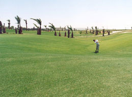 ����� Cham Golf and Country Club, ����