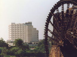 ����� Apamee Cham Palace, ����