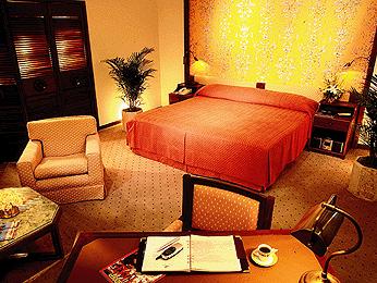 ����� Sofitel Rio de Janeiro, ����