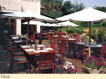 ����� The Leela Palace Kempinski Bangalore, ����