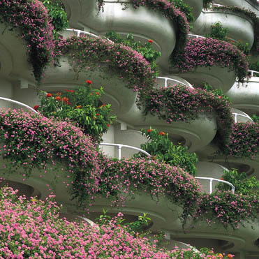 ����� The Oberoi Bangalore, ����
