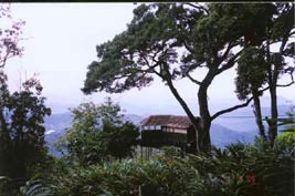 ����� Munnar Inn, ����