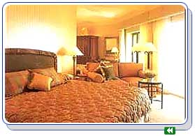 ����� Marriott Welcome, ����