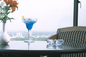 ����� Hans Plaza (Tulip Star Hotels), ����