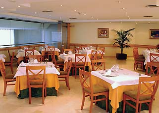 ����� Tryp Apolo, ����