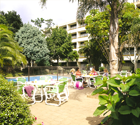 ����� Kingsgate Hotel Greenlane Auckland, ����