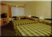 ����� Ibis Wellington, ����