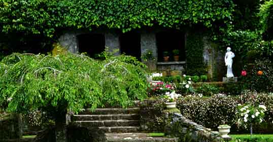 ����� Kawaha Point Lodge, ����