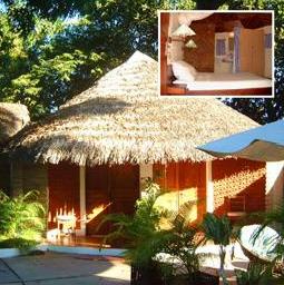 ����� Tropicana, ����