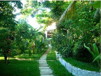 ����� Tropicana, ����