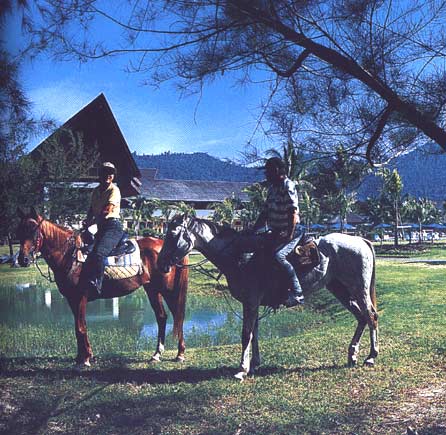 ����� Nexus Karambunai Resort, ����