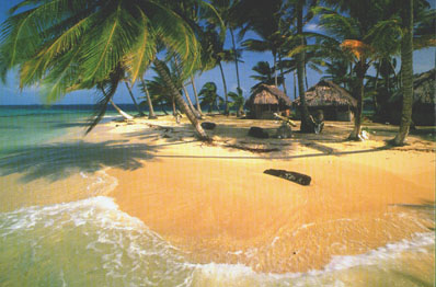 ����� Dolphin Island Lodge, ����