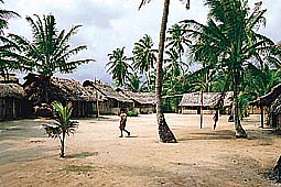 ����� Dolphin Island Lodge, ����