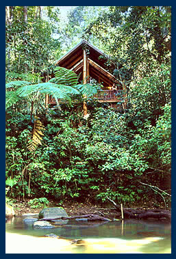 ����� Fur 'n' Feathers Rainforest Tree Houses, ����