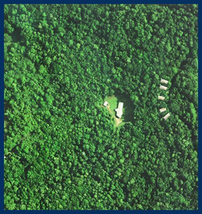 ����� Fur 'n' Feathers Rainforest Tree Houses, ����