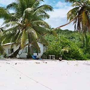 ����� Allamanda, ����