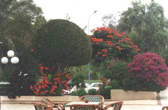 ����� Agadir Beach Club, ����