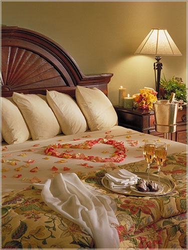 ����� The Ritz-Carlton Laguna Niguel, ����