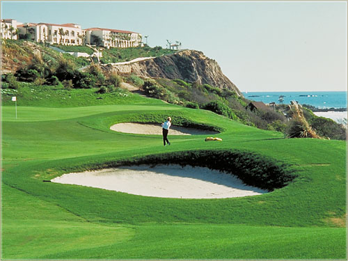 ����� The Ritz-Carlton Laguna Niguel, ����