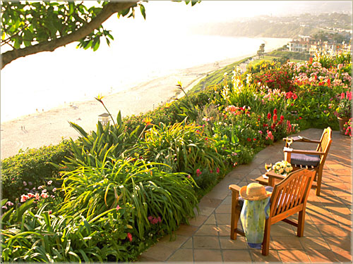 ����� The Ritz-Carlton Laguna Niguel, ����