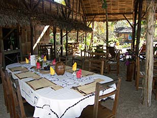 ����� Jungle Village, ����