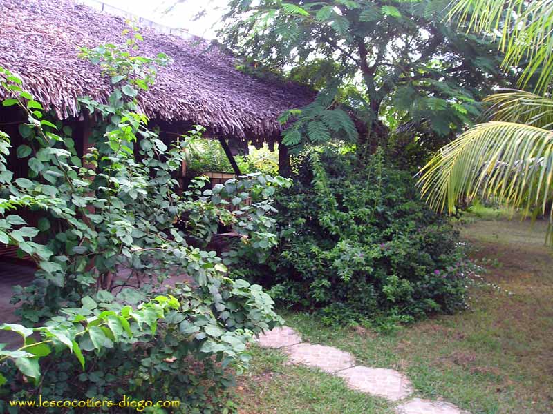 ����� Les Cocotiers, ����