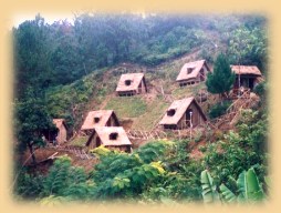 ����� Domaine Nature, ����