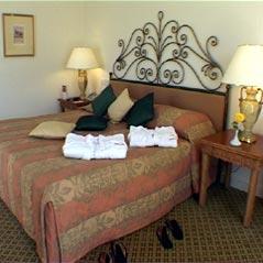 ����� Moevenpick Resort Petra, ����