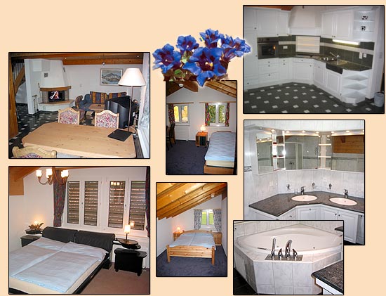 ����� Grindelwalderhof, ����