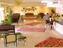 ����� Palace, ����