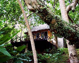 ����� Matangi Island Resort, ����