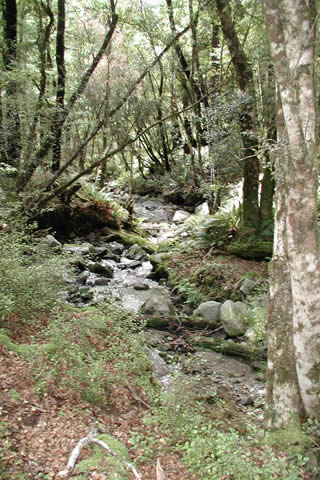 ����� Lake Rotoroa Lodge, ����