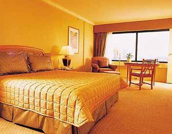 ����� Millennium Sydney, ����