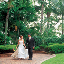 ����� Hilton Cairns, ����