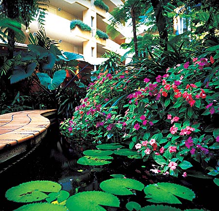����� Holiday Inn Cains, ����