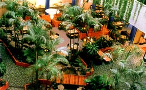����� Novotel Atrium Darwin, ����
