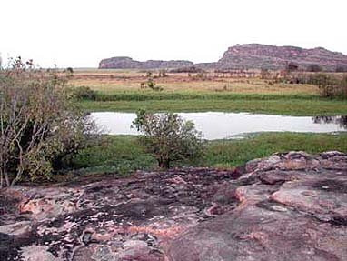 ����� Gagudju Crocodile, ����