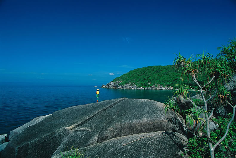 ����� Bedarra Island, ����