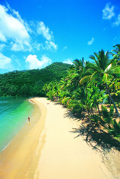 ����� Dunk Island, ����